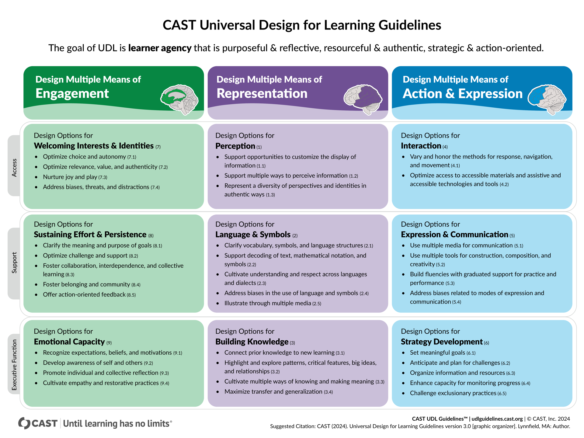 CAST UDL Guidelines 3.0 official graphic organizer